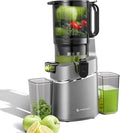 Entsafter, AMZCHEF, Saftpresse, Saft- und Zitruspresse, Entsafter Slow Juicer